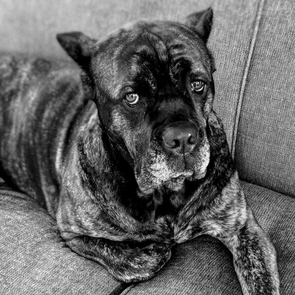 Meet your Posher, Rhonda